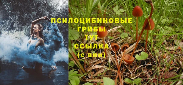 тгк Сосновоборск