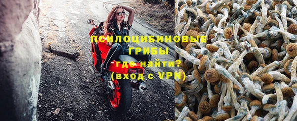 спиды Сосновый Бор